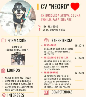 El CV de Negro.