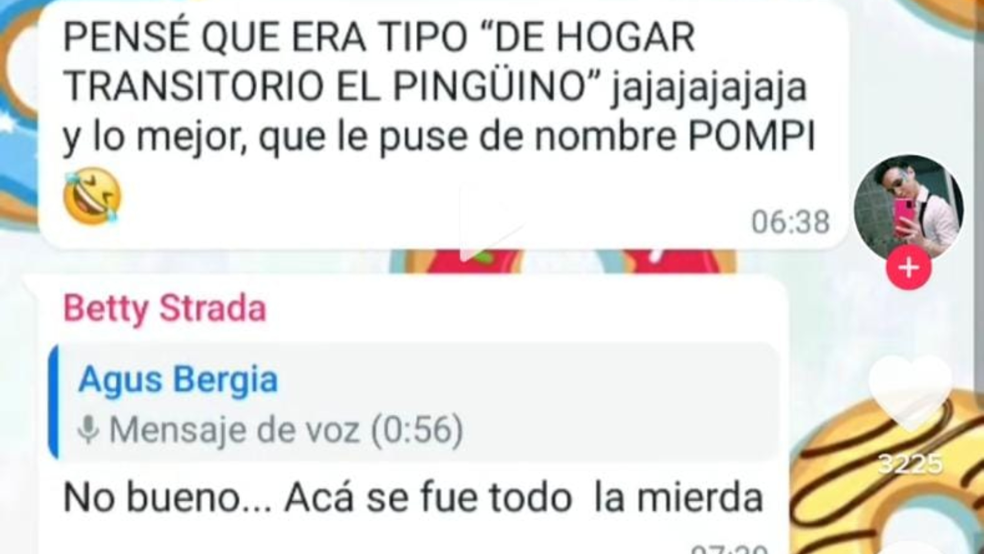 El chat del grupo de WhatsApp en el que se contó la insólita historia sobre el padrinazgo de un pingüino.