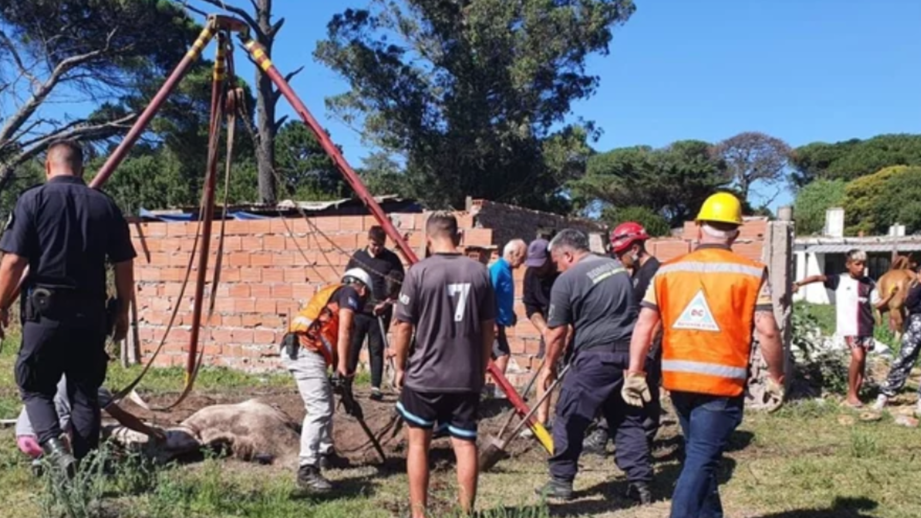 Tras un arduo operativo de rescate, el caballo logró ser extraído del pozo.