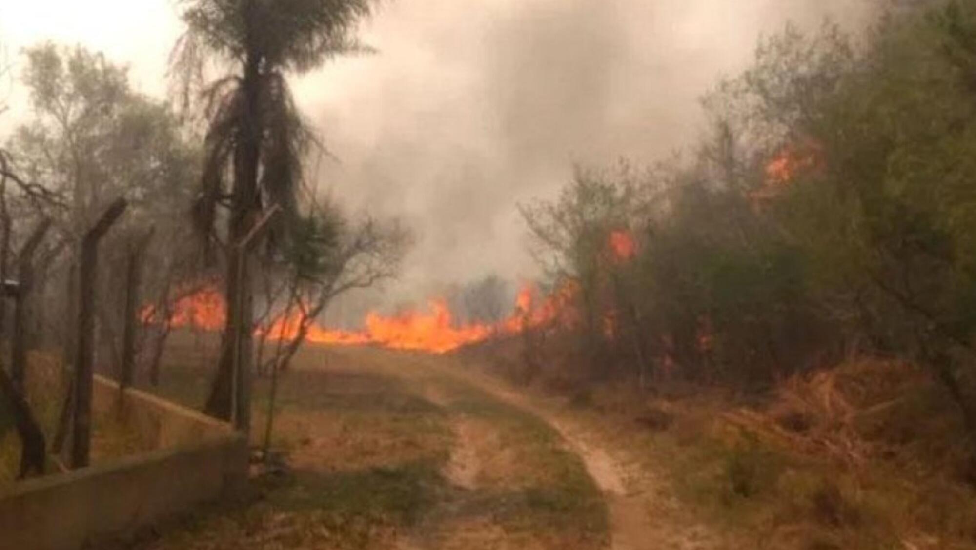 La Confederación Intercooperativa Agropecuaria (CONINAGRO) estimó que en Corrientes ya fueron arrasadas 700 mil hectáreas (Gentileza CorrientesHoy.com).