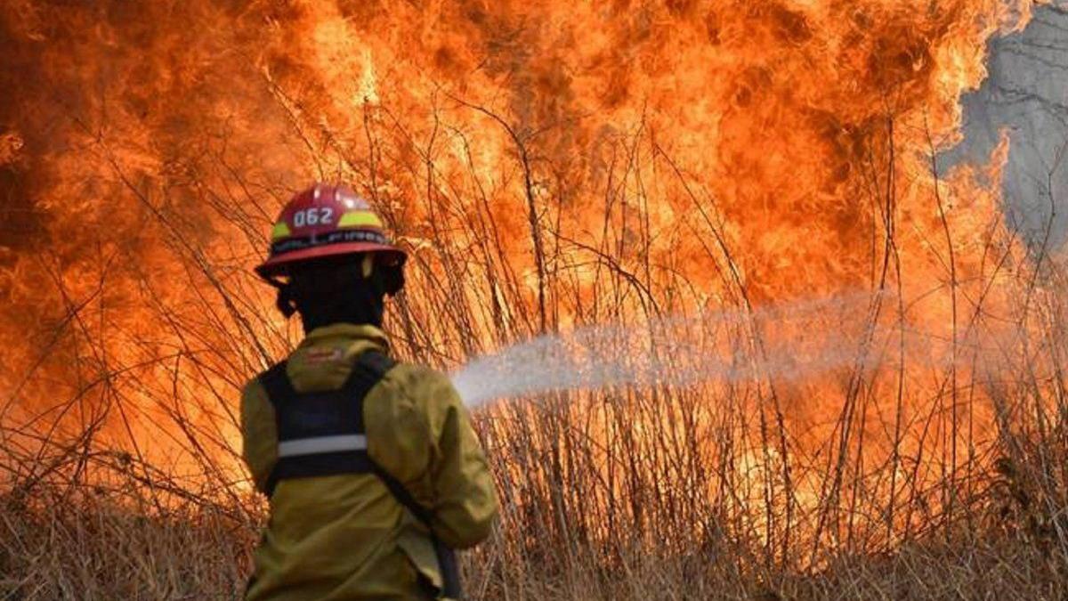 Los brigadistas lograron hacer retroceder las llamas en la zona de Iberá.