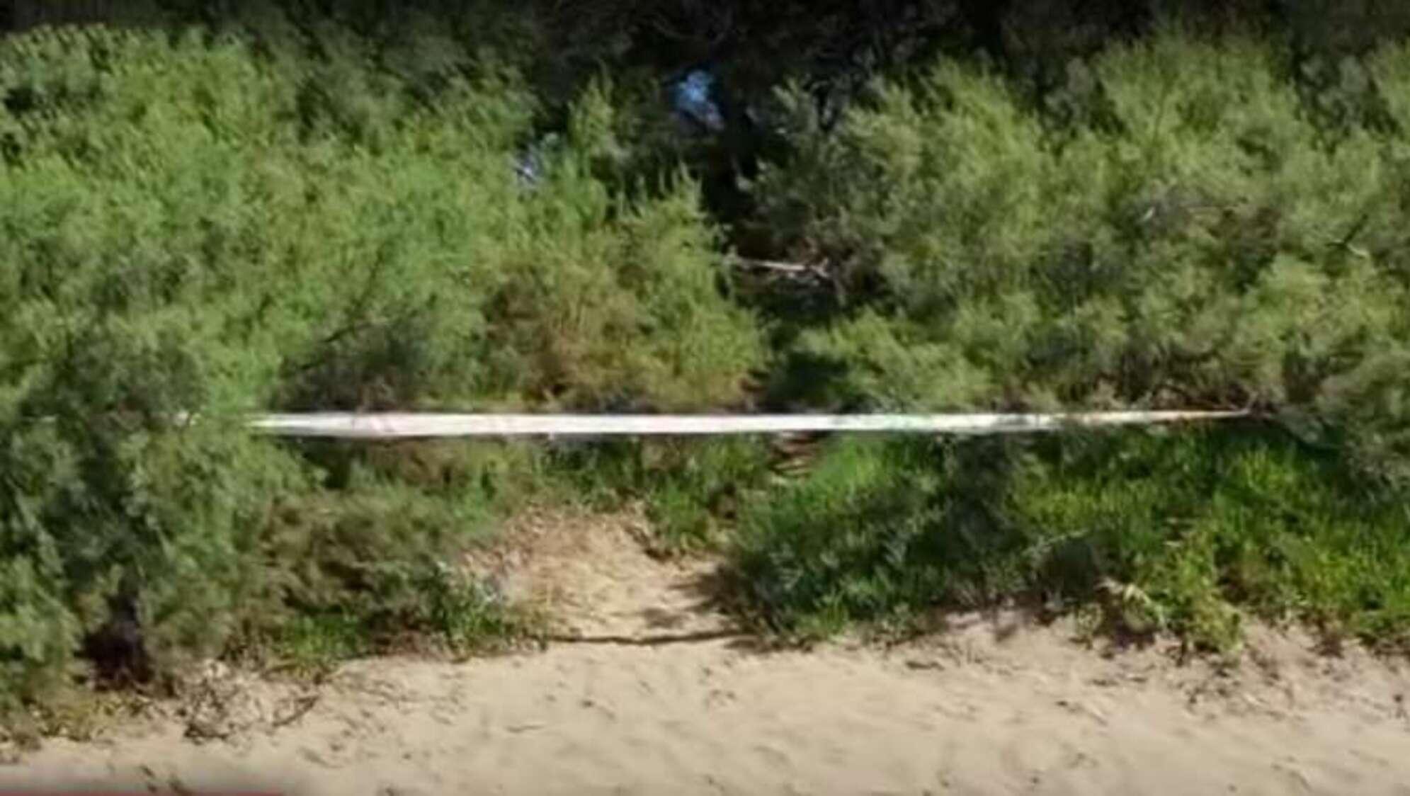 Hallaron un cráneo en medio de los médanos de Mar del Tuyú. 