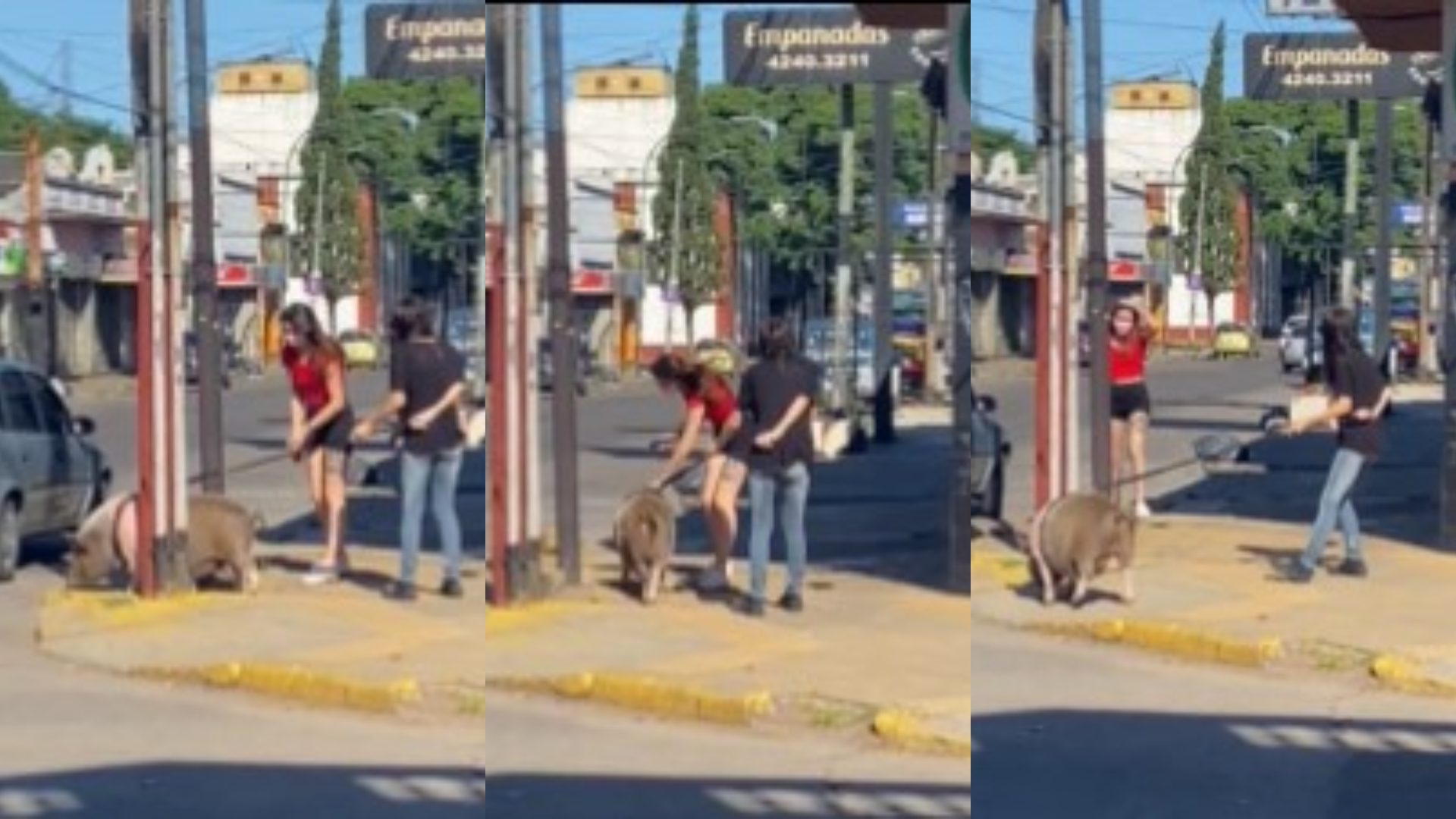 El paseo de Bondiola por Lanús.