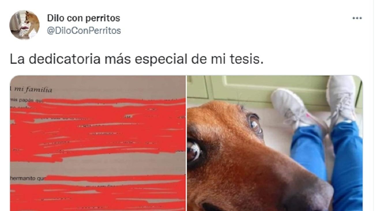 Le dedicó su tesis a su fiel compañera de estudio y se hizo viral en Twitter. 