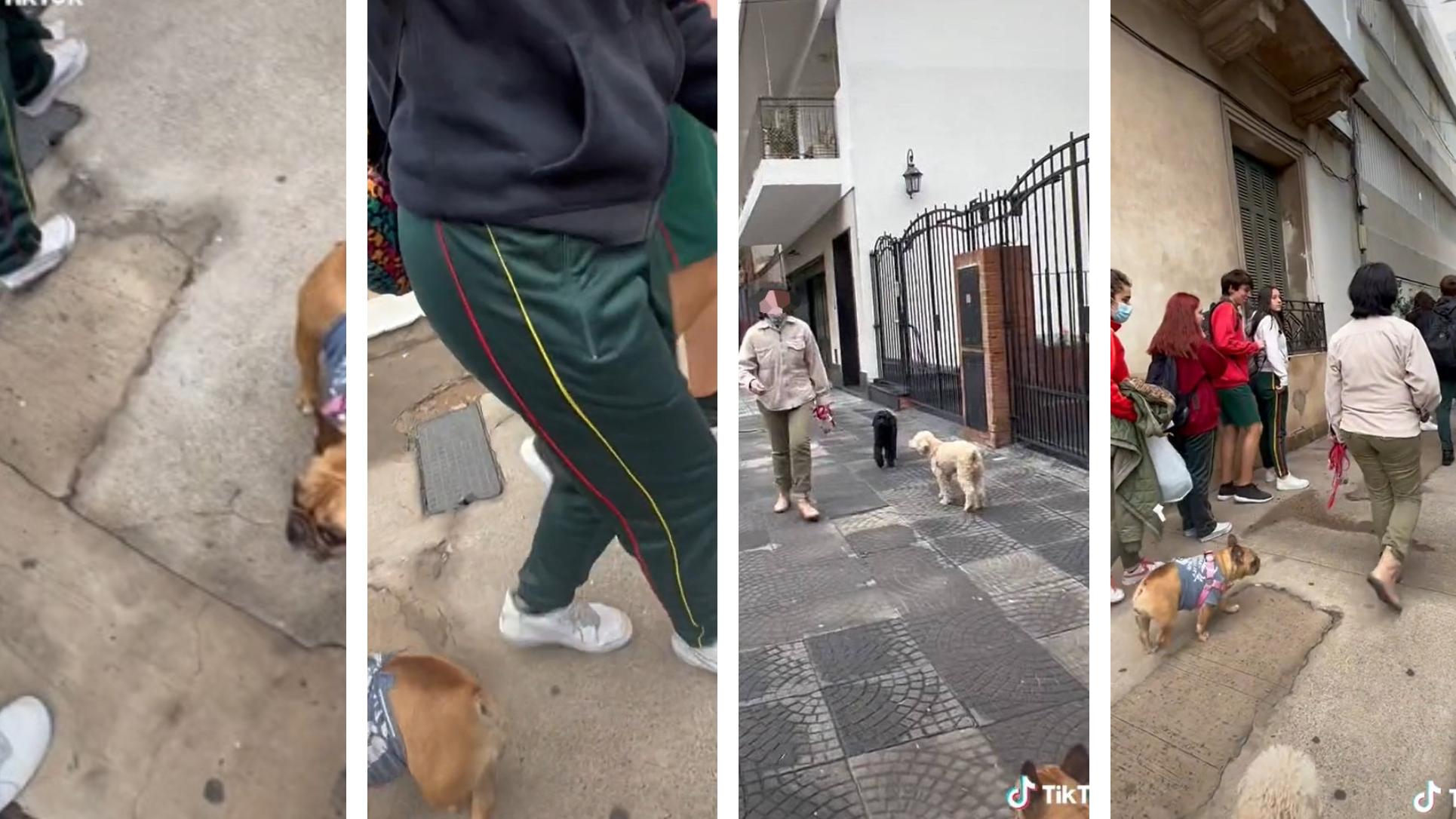 Señora paseaba a su perro y se enfrentó a grupo de adolescentes: 