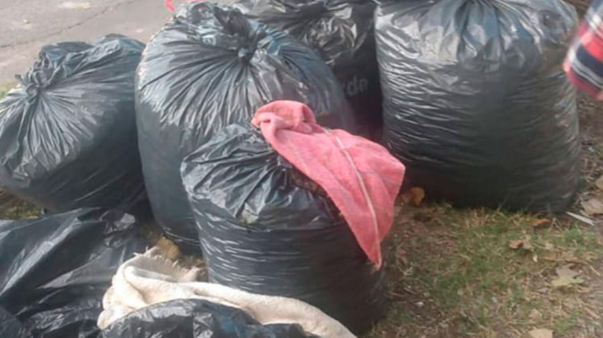 La beba fue encontrada entre bolsas de basura en la localidad bonaerense de Morón.