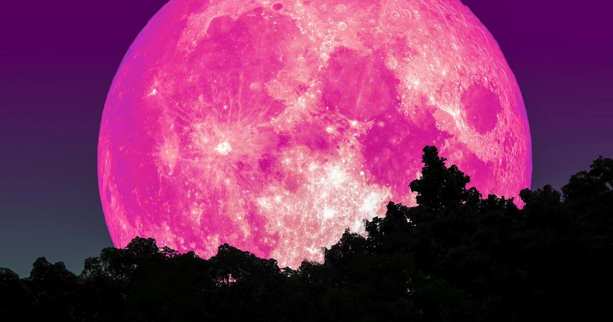 La   <a href='https://www.cronica.com.ar/tags/Luna'>Luna</a> rosa de abril en su máximo esplendor.