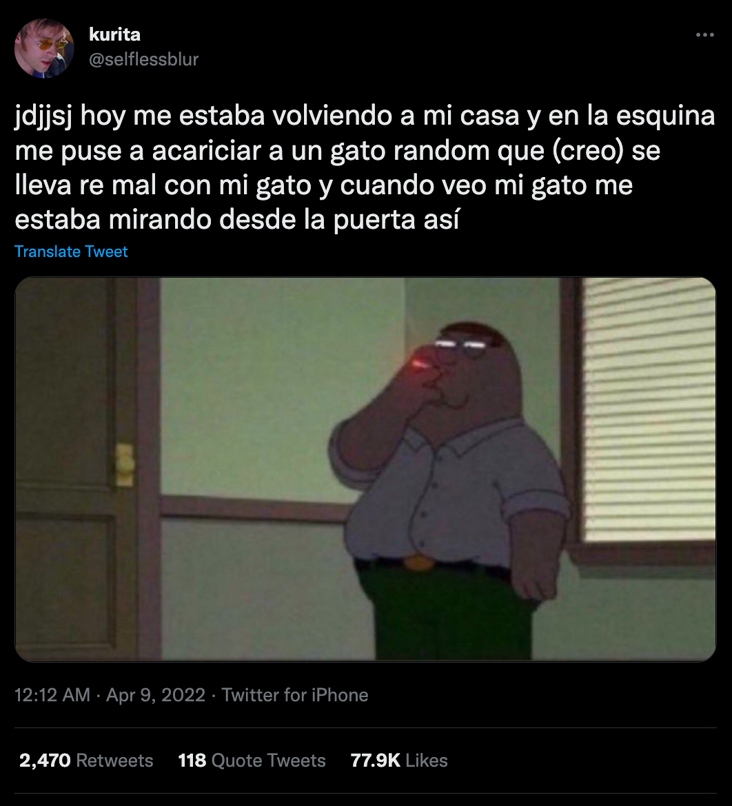 A modo de broma, la usuaria publicó cuál fue la reacción de su gato.