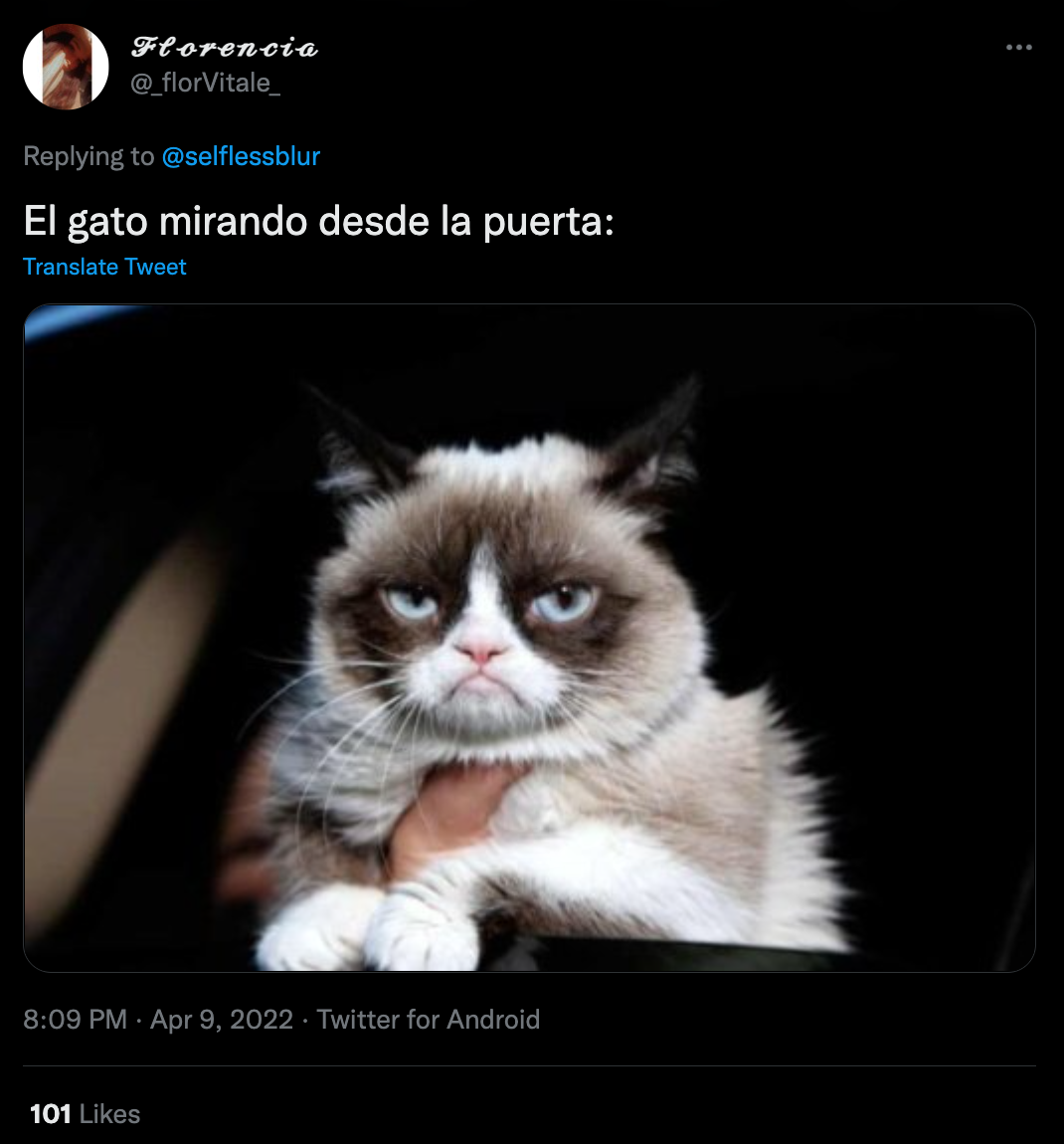 Los memes por la reacción del gato no pararon de llegar.