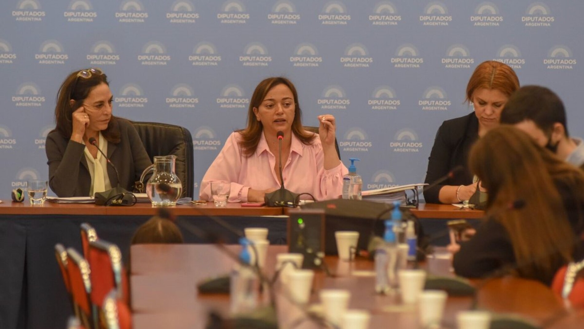 La diputada Cecilia Moreau encabezó el debate en la Comisión de Legislación General de la Cámara baja.