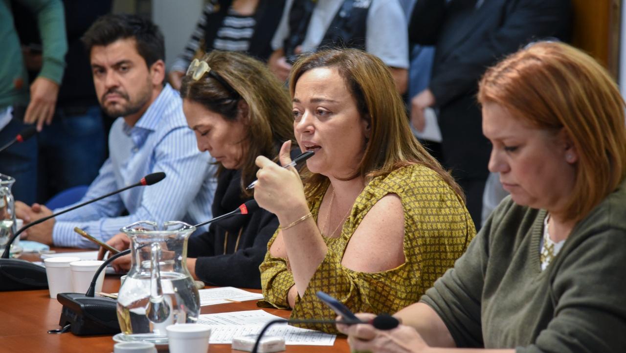 La diputada Cecilia Moreau, titular de la comisión de Legislación General, presidió la reunión.