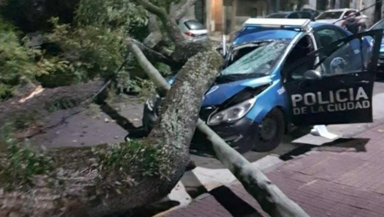 Un añoso árbol destruyó a una patrullero que estaba estacionado (Twitter).