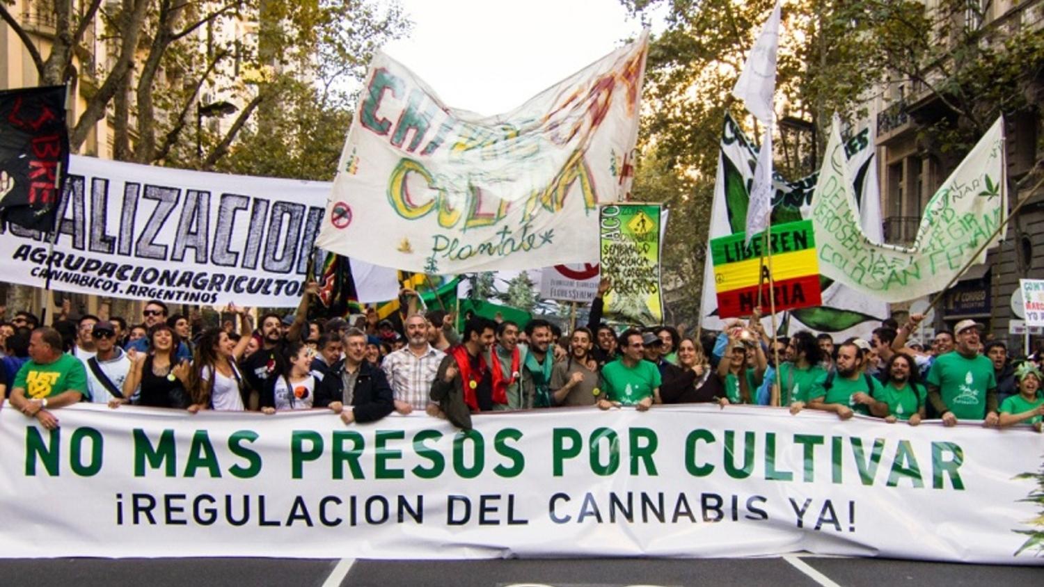 Reclaman contra la criminalización del cultivo y de los usuarios de cannabis.