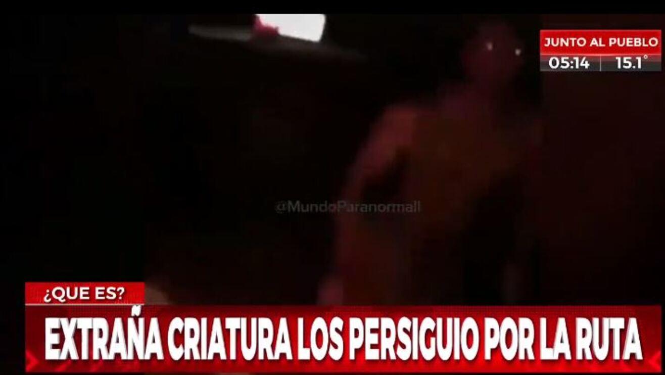 La extraña criatura estremeció a los integrantes del automóvil (Captura de TV).