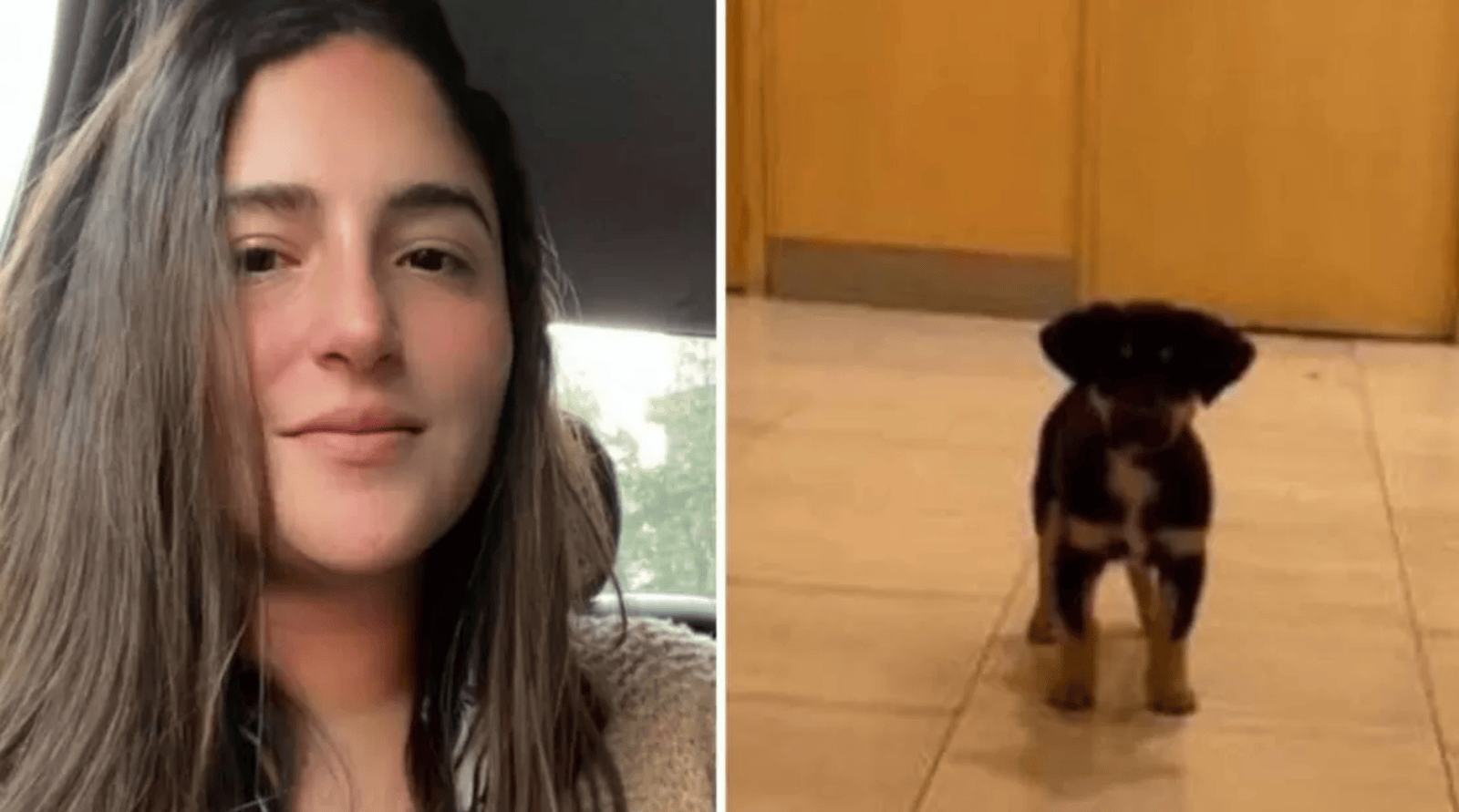 Se llevó el perrito de un indigente, lo contó en redes sociales y el repudio fue absoluto.