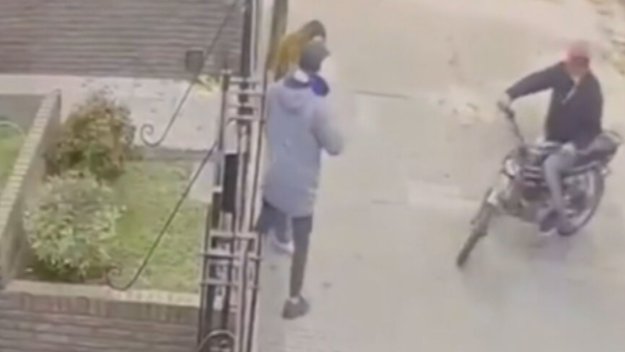 La mujer hacía encuestas casa por casa como parte del Censo 2022 (Captura de video).