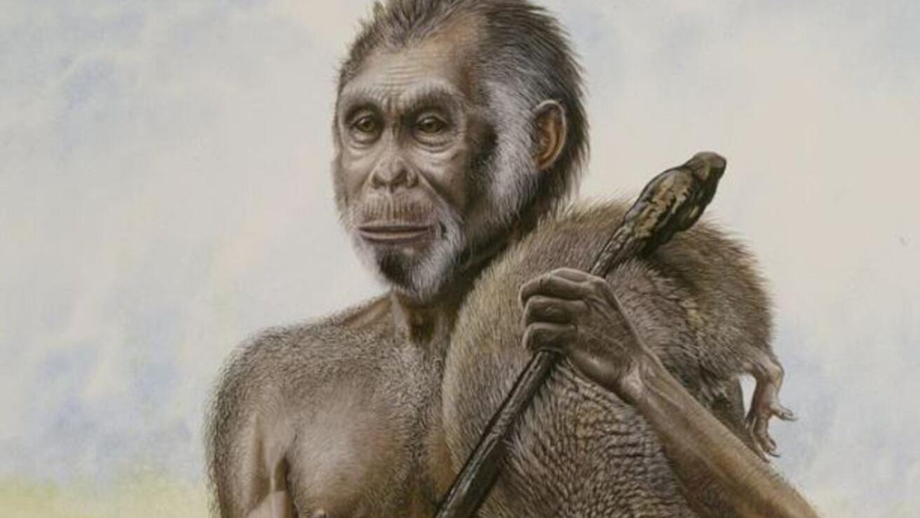 El Homo floresiensis es investigado por científicos en el mundo (Imagen ilustrativa).