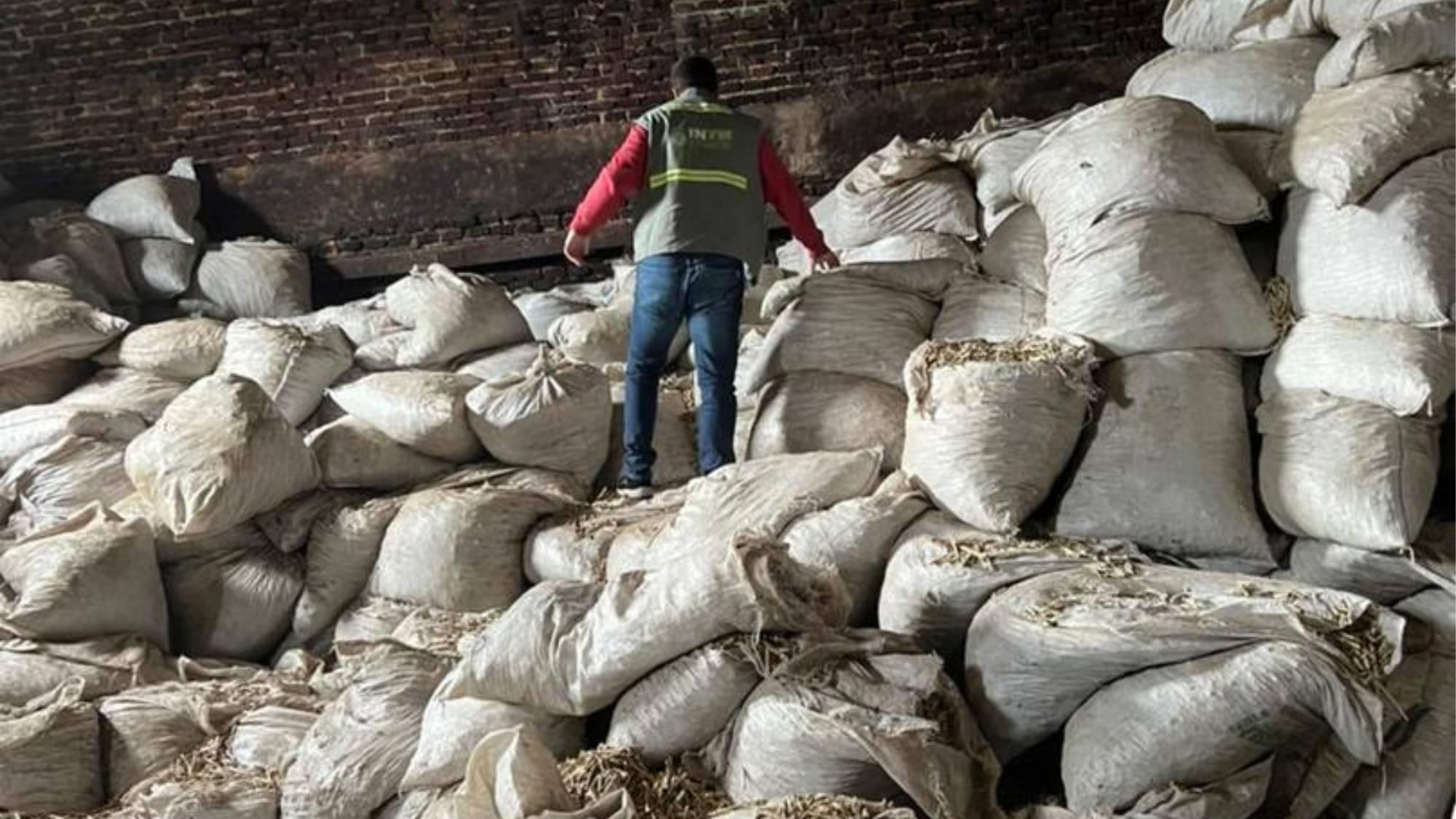 Hallan 50 mil kilos de palos y polvo de yerba mate en un secadero abandonado.