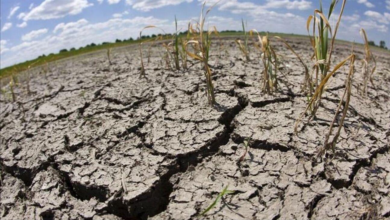 El cambio climático provoca sequía y desertificación (Imagen ilustrativa).