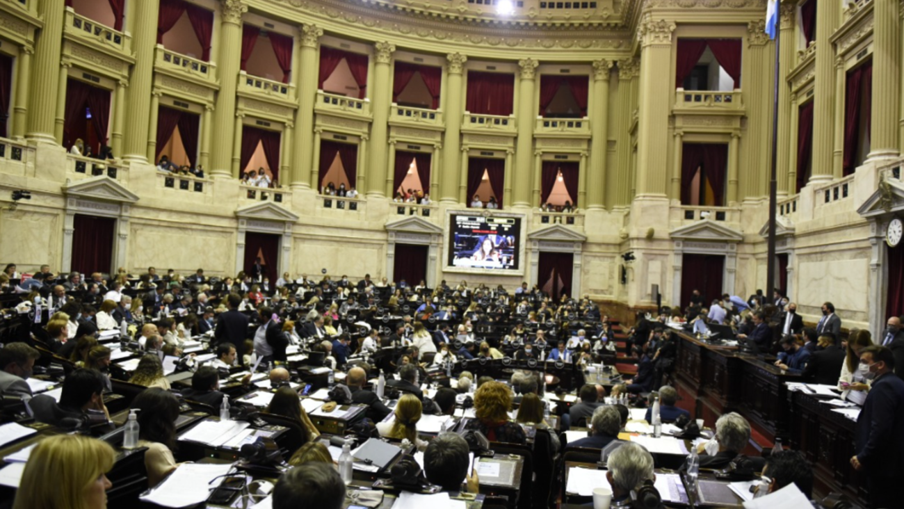 La Cámara Baja retoma este martes el debate por los subsidios al transporte público de pasajeros (Crónica/Hernán Nersesian).