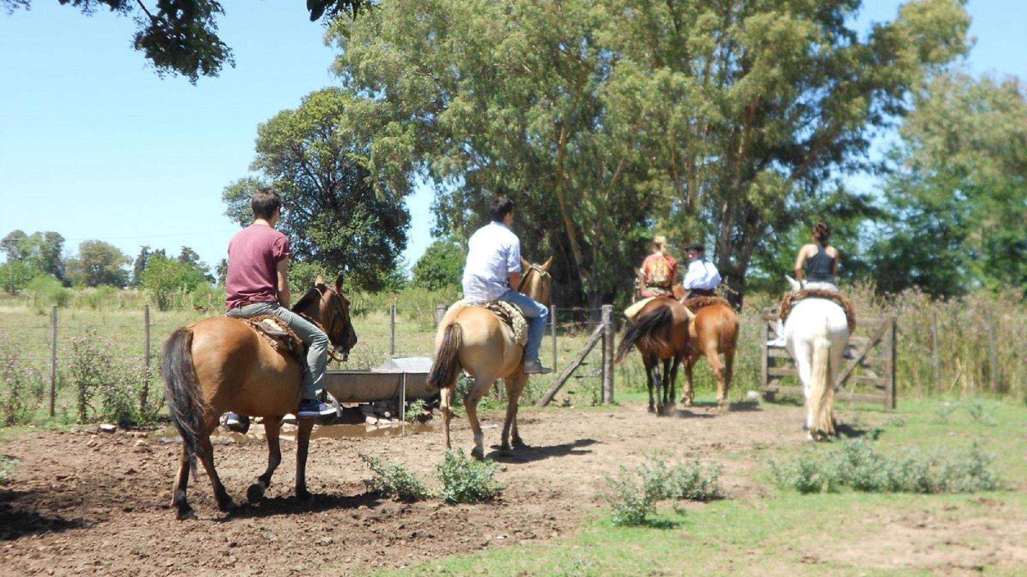 Escapada de fin de semana largo con estadías de campo y museos históricos