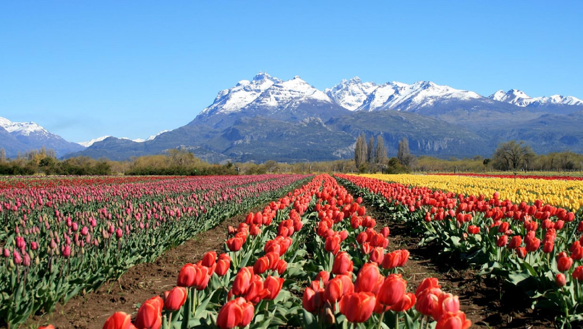 Trevelin, el pueblo de Chubut que disputará el 