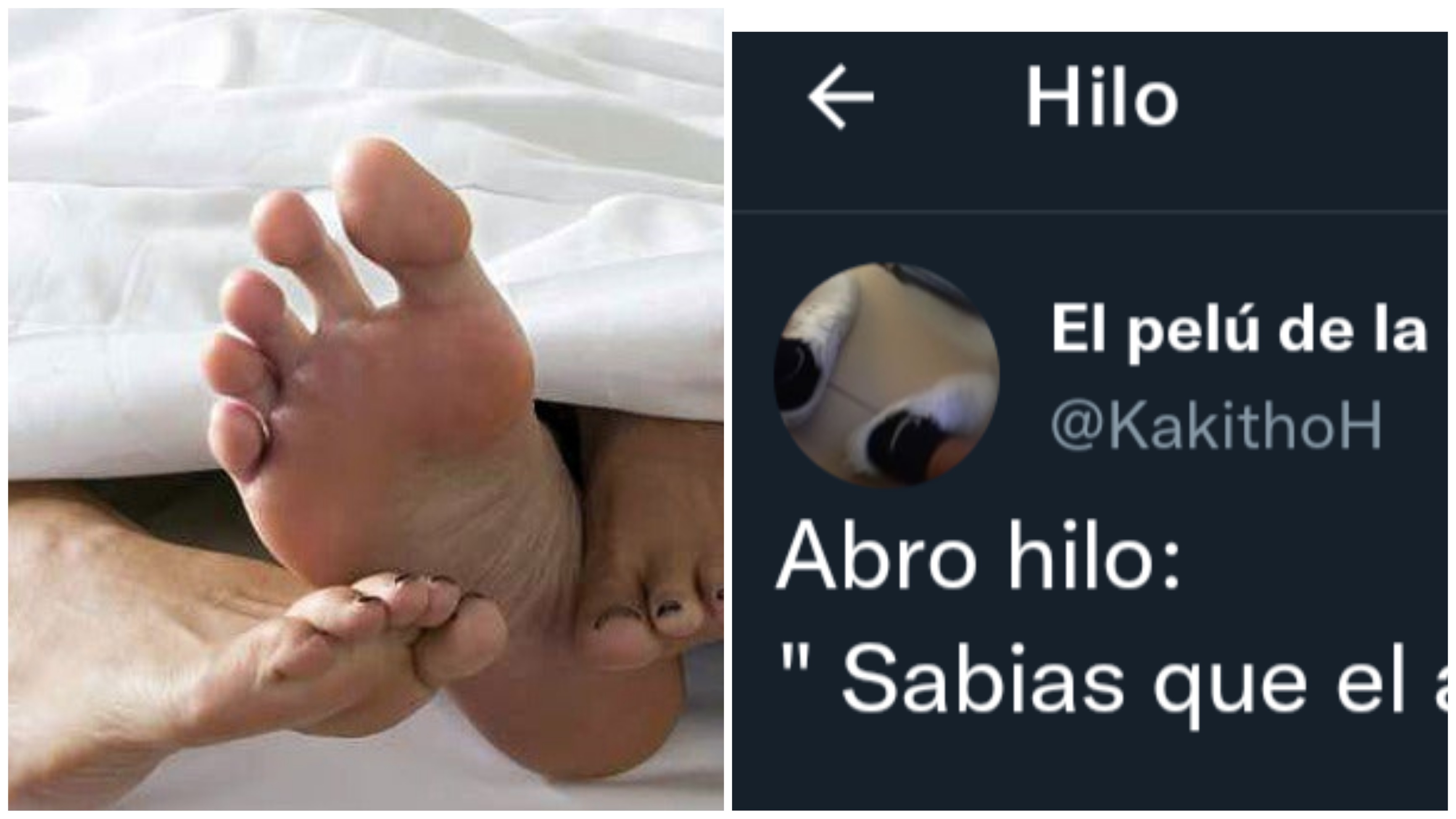 El posteo se volvió viral en Twitter y recibió memes imperdibles.