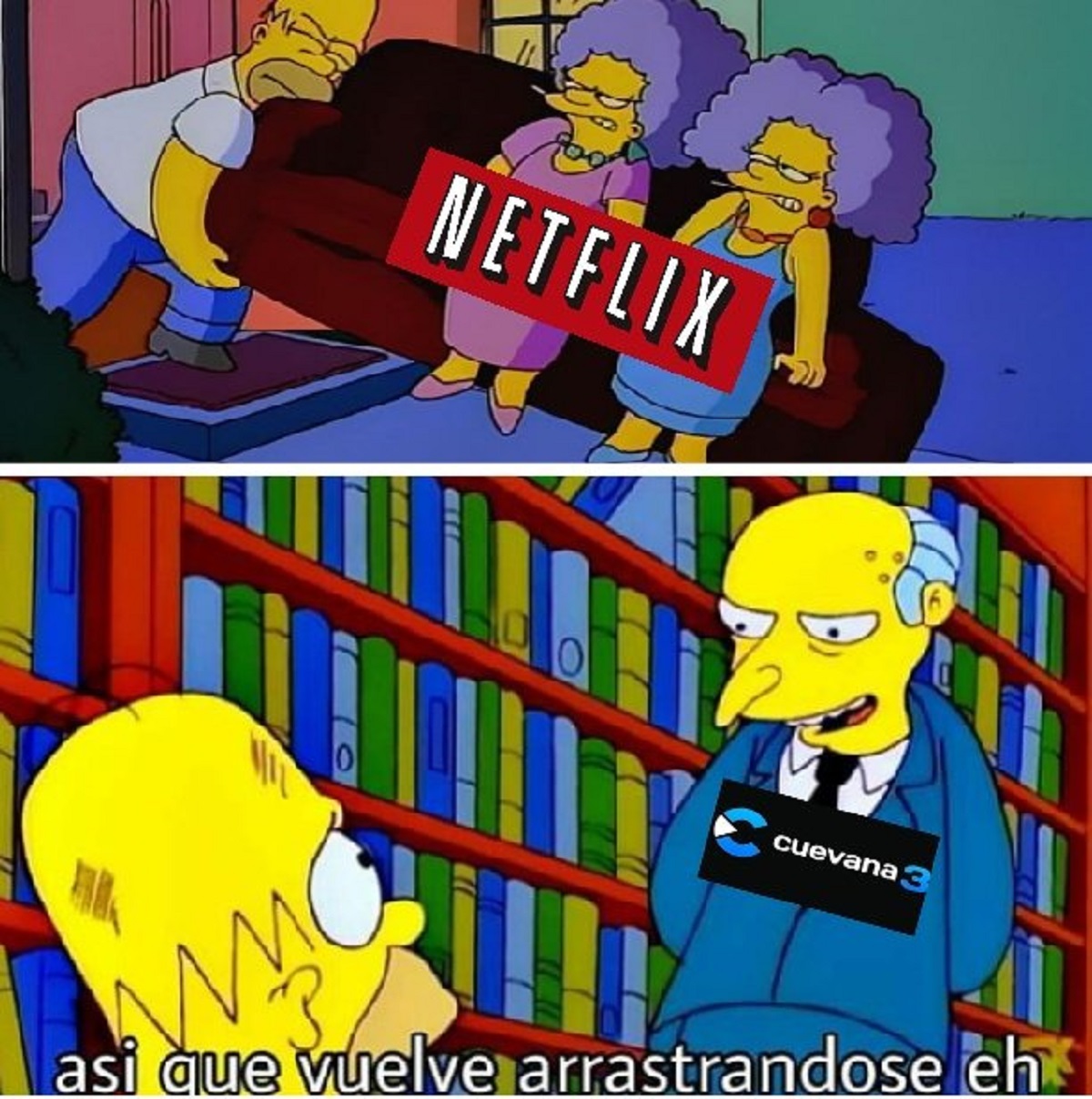 Estallaron los memes por   <a href='https://www.cronica.com.ar/tags/Netflix'>Netflix</a>: Cuevana, uno de los beneficiados por la medida.