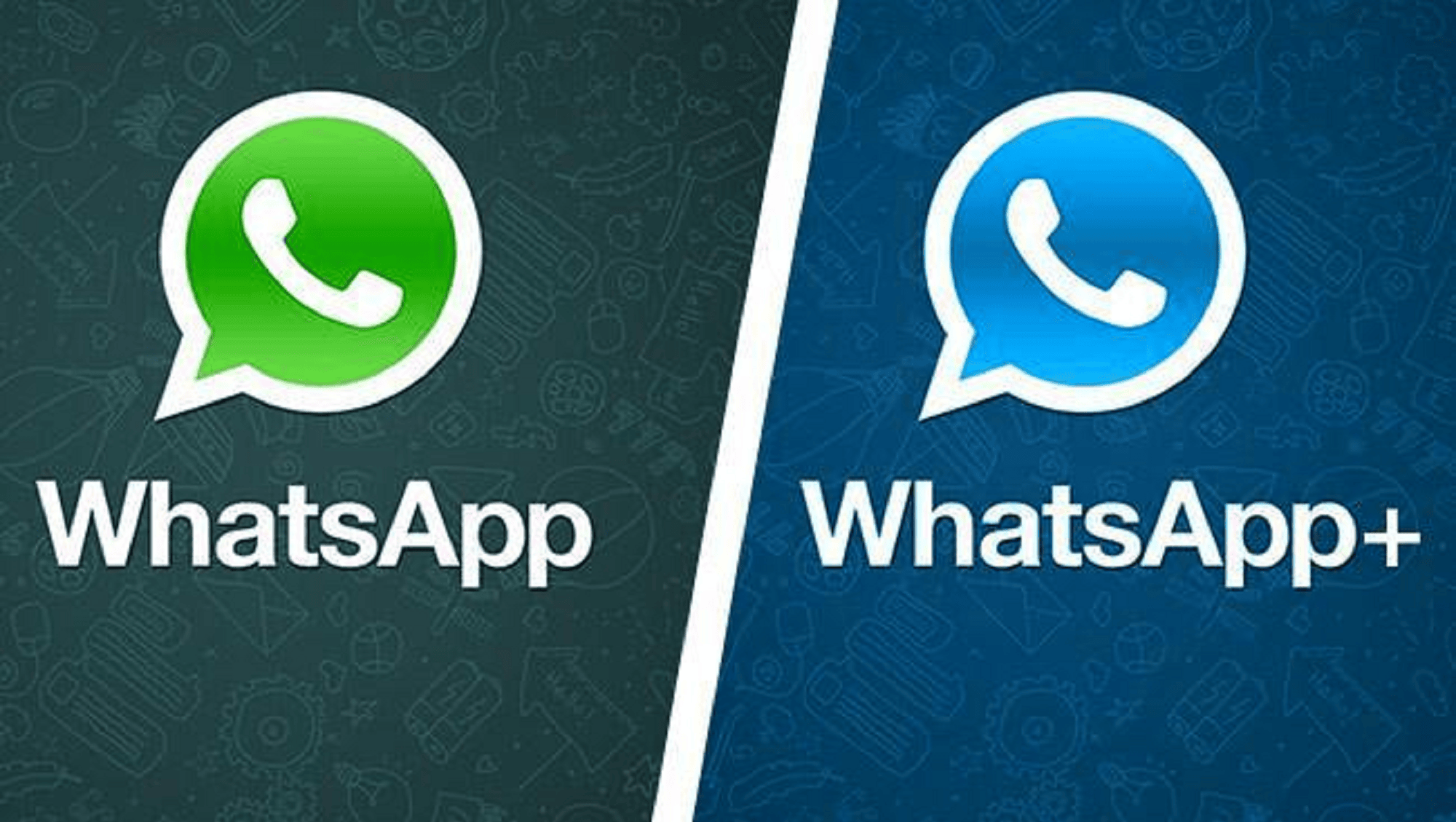 WhatsApp recomendó tajantemente no descargar la versión Plus.