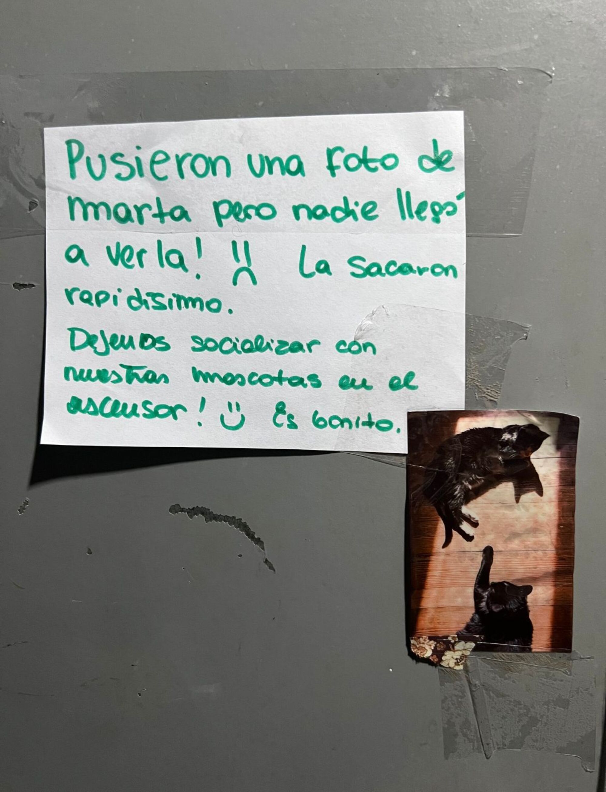 Un nuevo vecino pidió que no saquen los carteles.