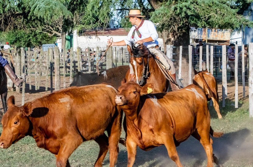 Expo   <a href='https://www.cronica.com.ar/tags/Junín'>Junín</a>.