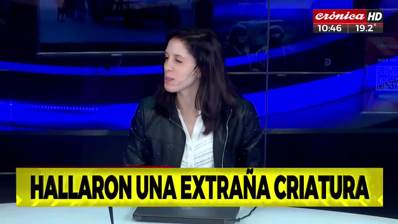 Crónica HD