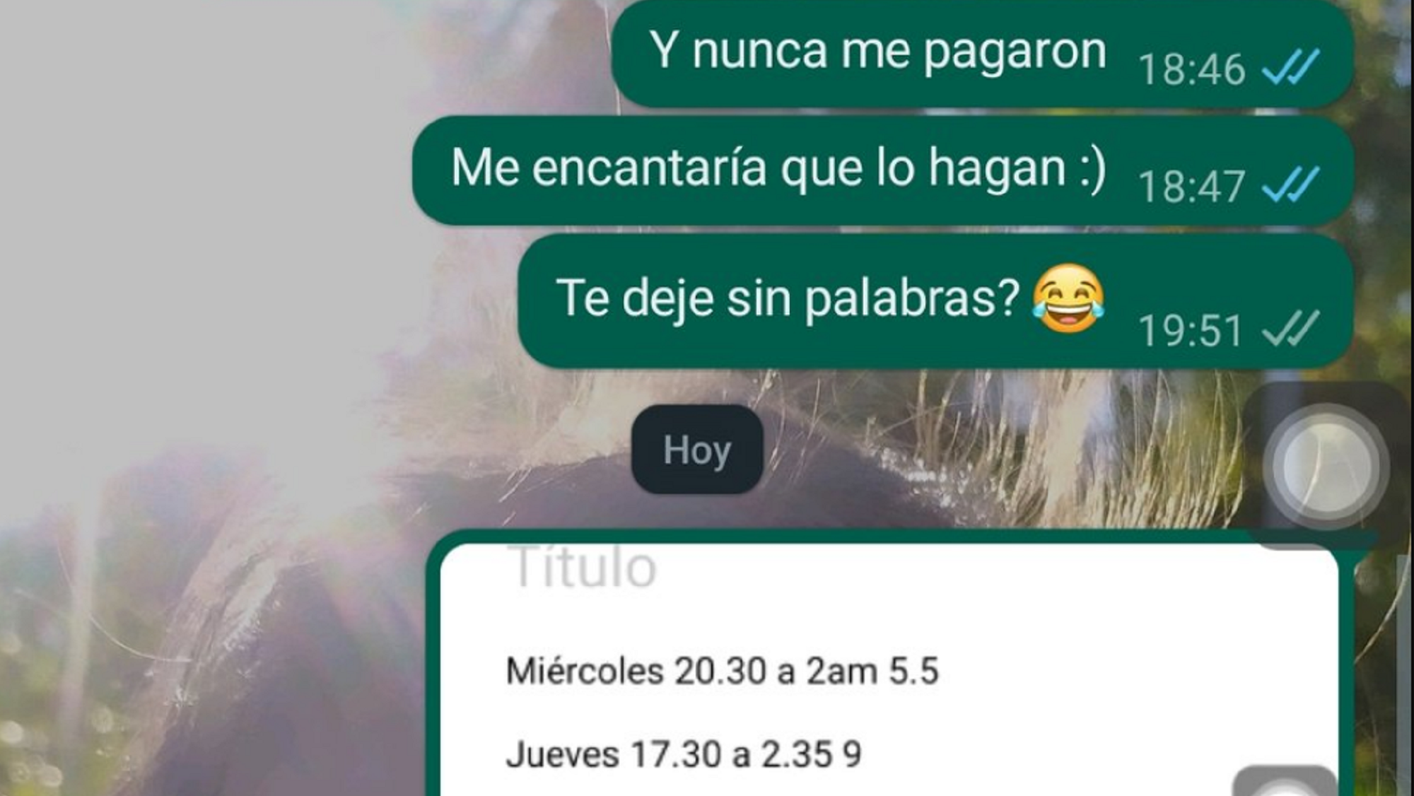 “Astuta la rata”: le reclamó a la dueña de un bar que le pague las horas trabajadas y la bloqueó.