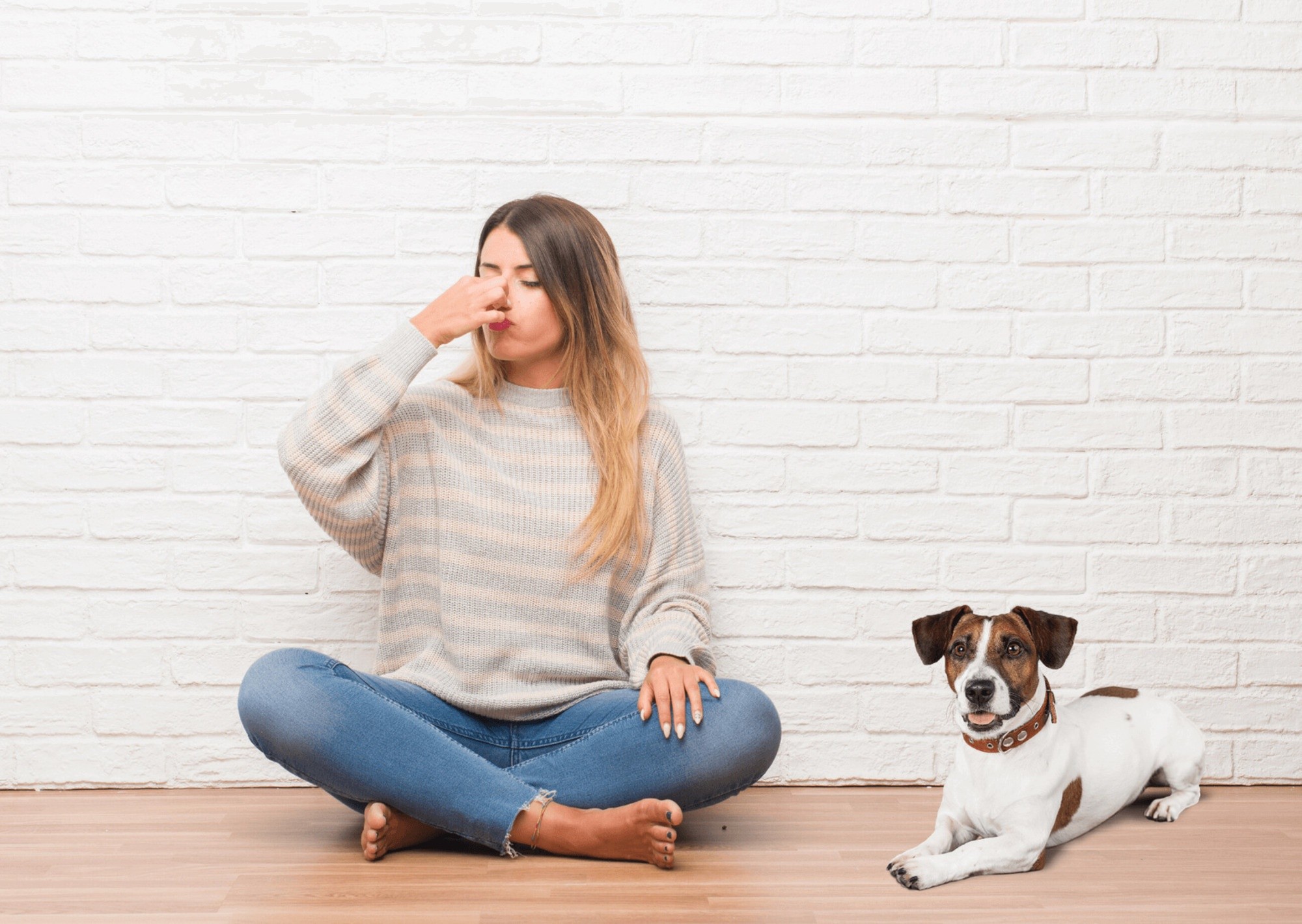 5 trucos infalibles para eliminar el olor a perro de tu ropa y tu casa.