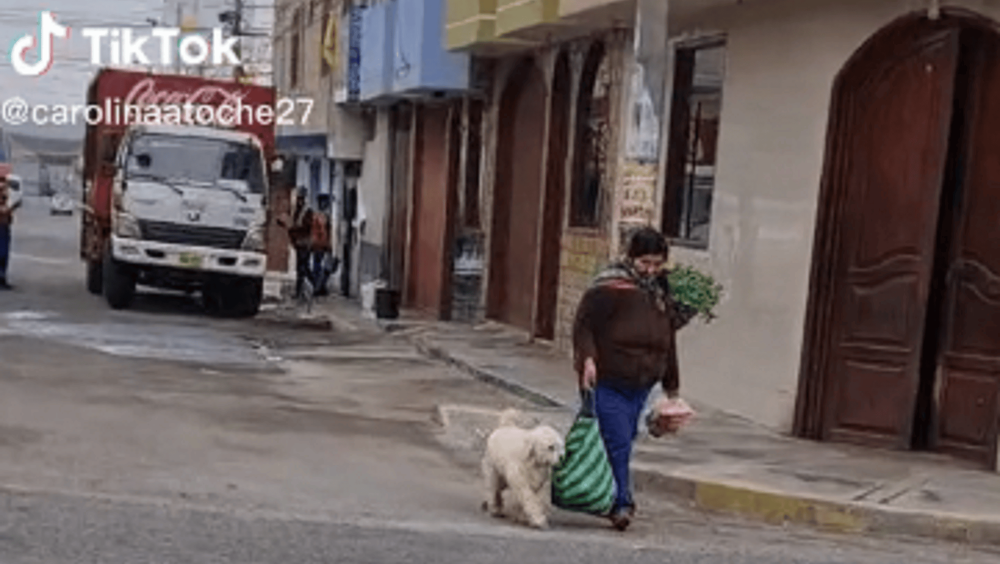 Un perro ayudó a su dueña con las compras y es viral (TikTok/@carolinaatoche27).