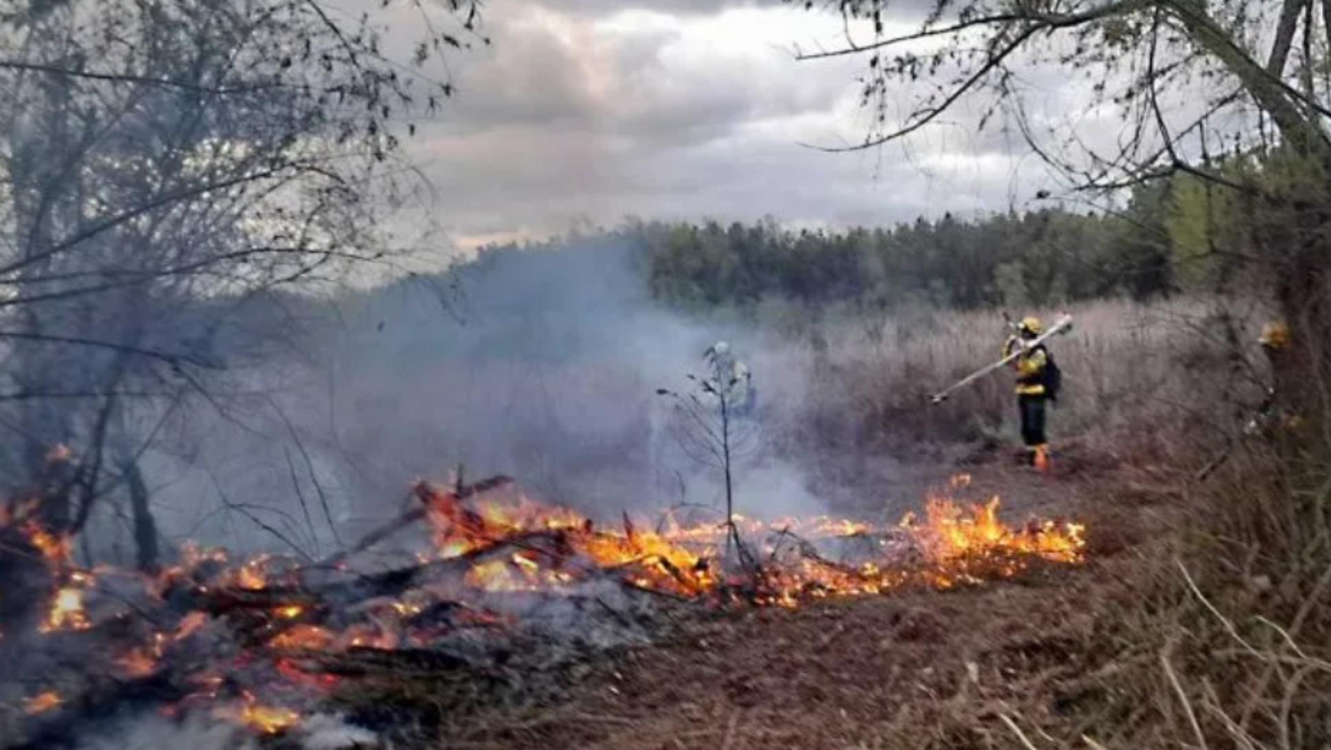 Alberto Fernández se refirió a los incendios en el Delta.