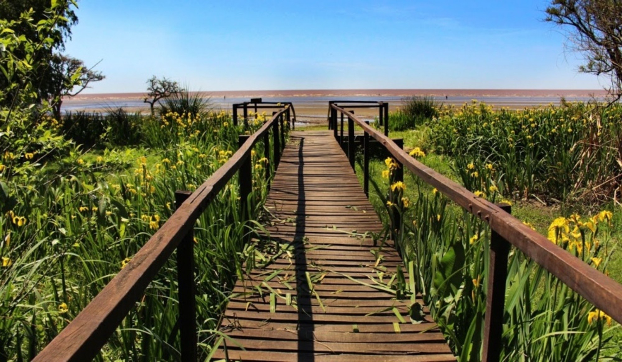 Escapada: la pequeña ciudad ubicada a orillas del Río de la Plata con actividades en la naturaleza, ideal para disfrutar en familia.