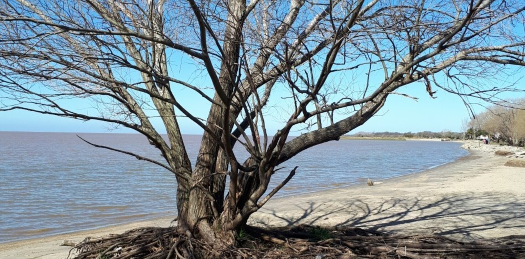 Escapada: la pequeña ciudad ubicada a orillas del Río de la Plata con actividades en la naturaleza, ideal para disfrutar en familia.