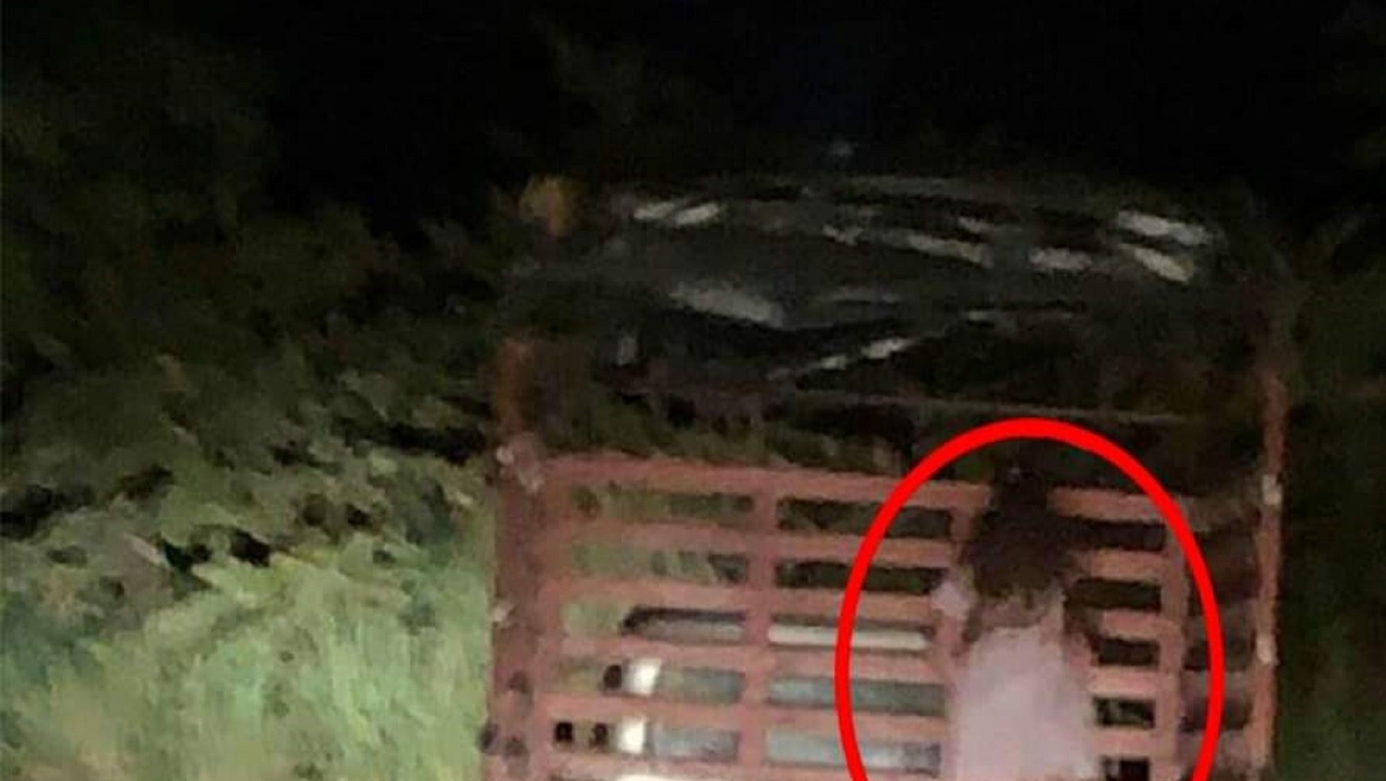 Apareció una nena fantasma en la parte trasera de un camión.