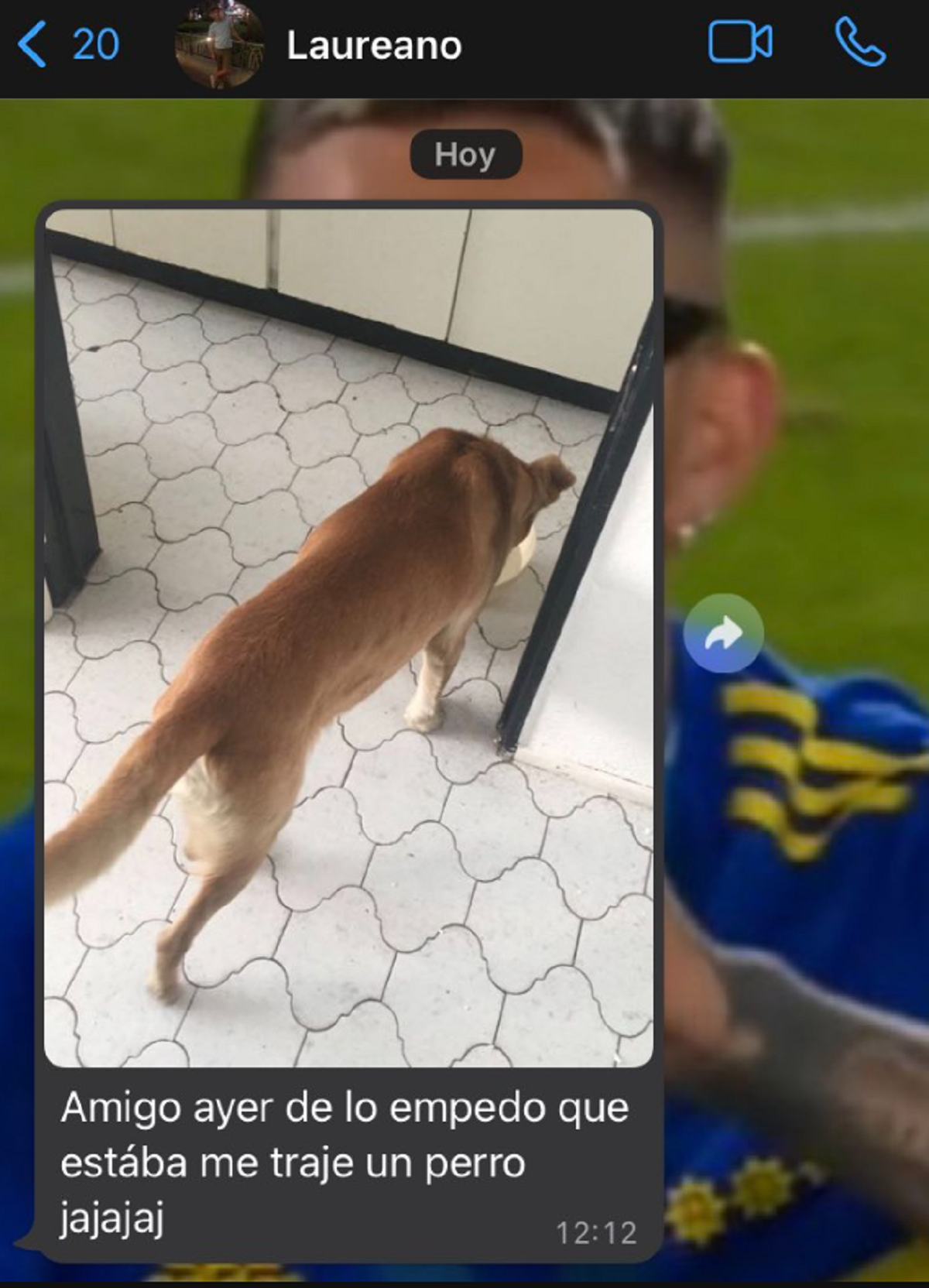 El insólito chat sobre un perro que se hizo viral en   <a href='https://www.cronica.com.ar/tags/Twitter'>Twitter</a>.