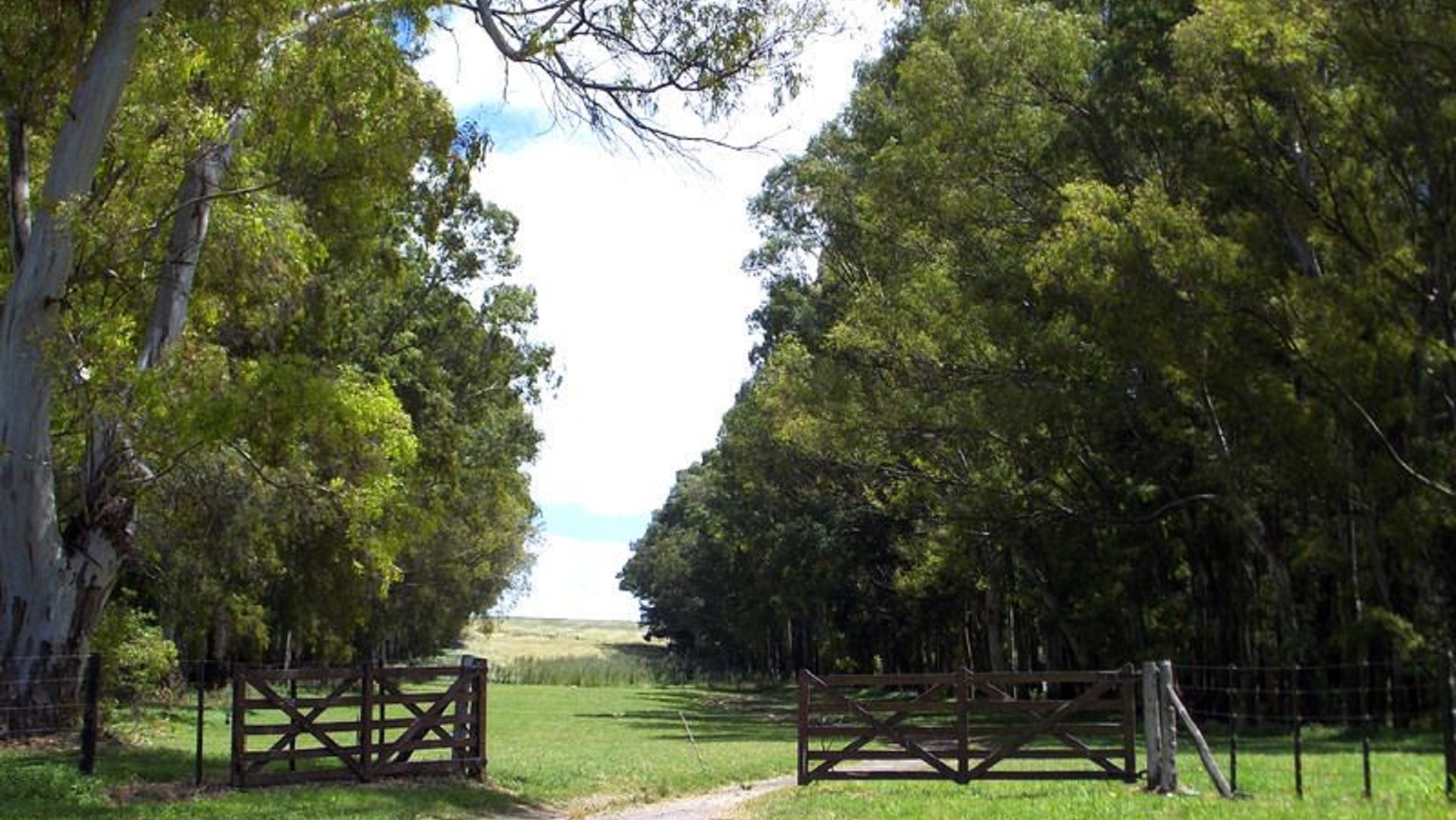 Villa Cacique: un pequeño paraíso que hay que conocer.  