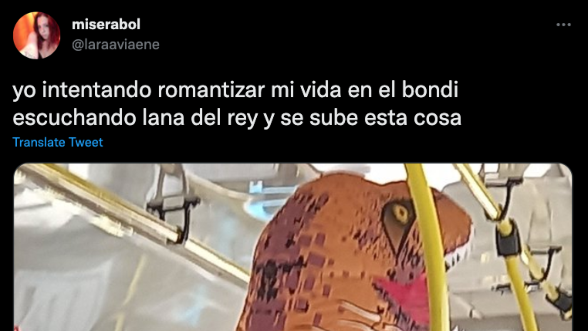 Joven intentaba viajar tranquila en el colectivo y un insólito motivo interrumpió su momento.