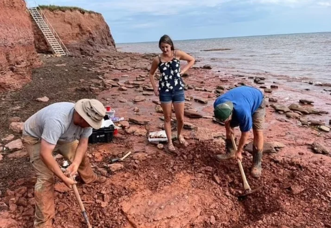 La profesora Lisa Cormier halló restos   <a href='https://www.cronica.com.ar/tags/fósiles prehistóricos'>fósiles prehistóricos</a> en   <a href='https://www.cronica.com.ar/tags/Canadá'>Canadá</a> (John Calder).