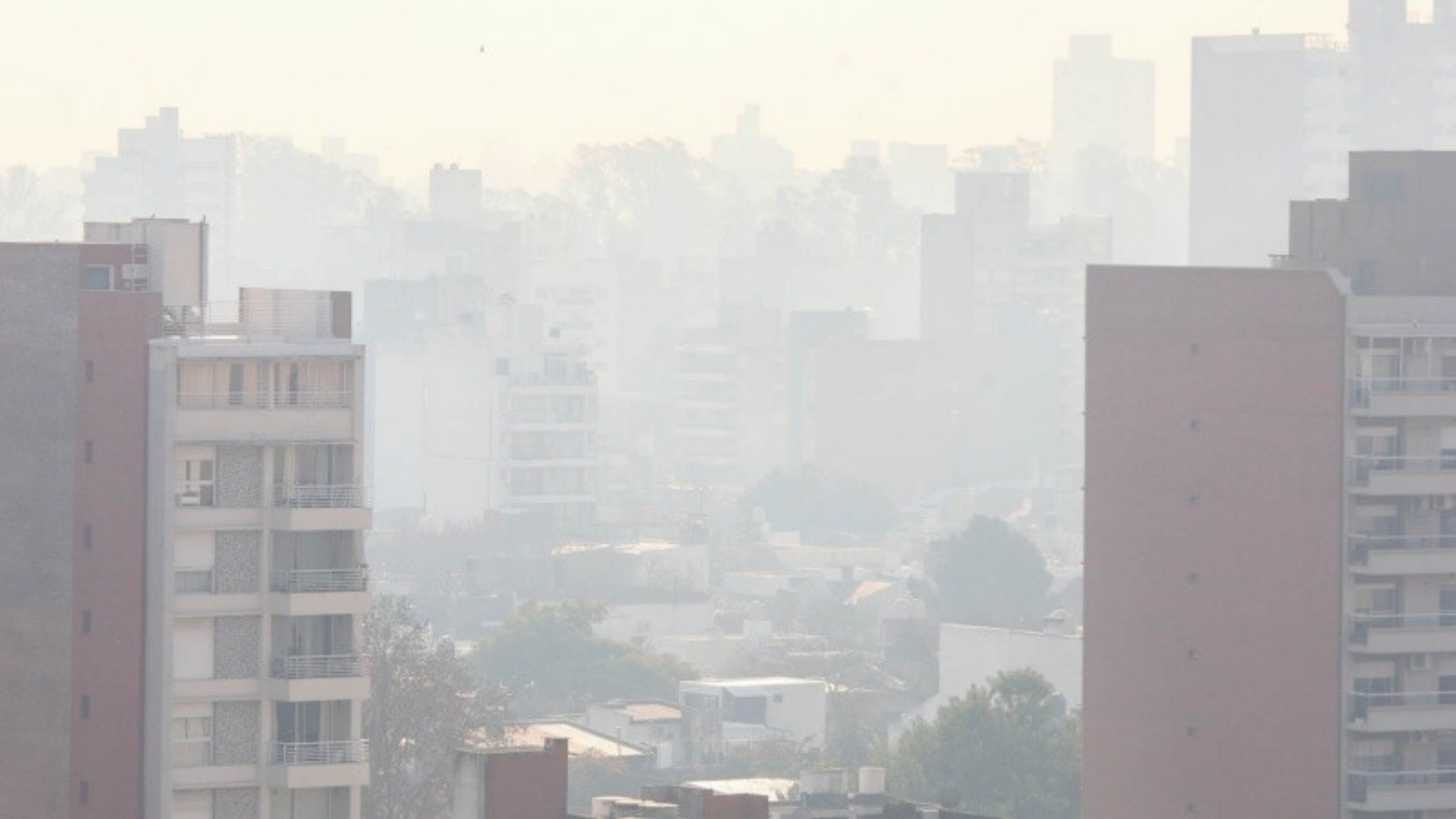 El humo en el ambiente redujo la visibilidad (Foto: Rosario3)