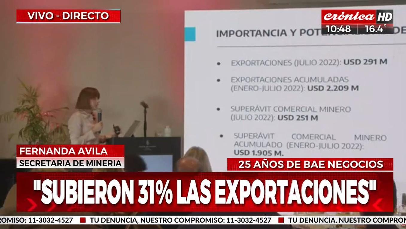 La secretaria de Minería, Fernanda Ávila, expondrá acerca del potencial del país frente a la transición energética (Crónica HD).