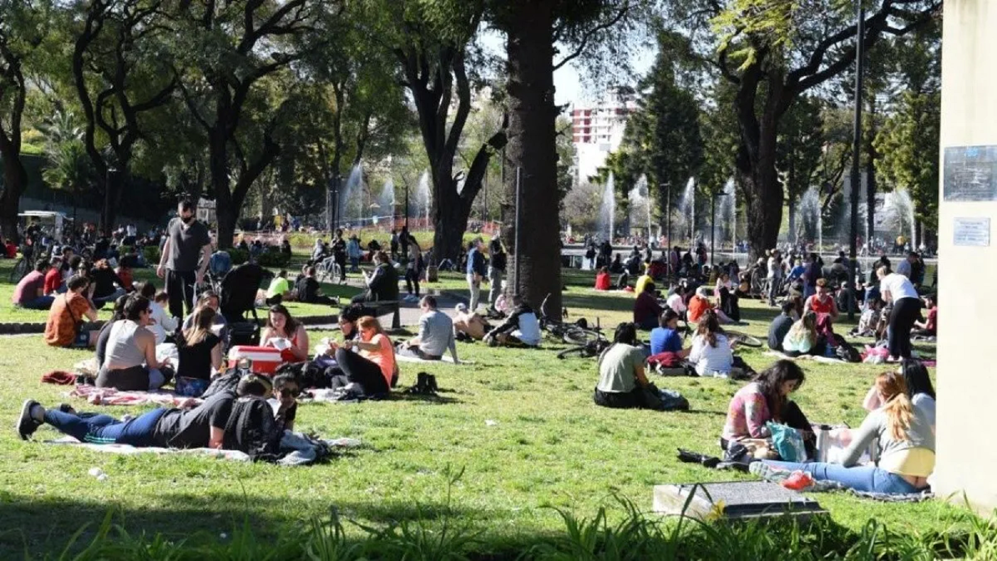 Comienza la primavera y el horóscopo chino trae las predicciones para cada signo.