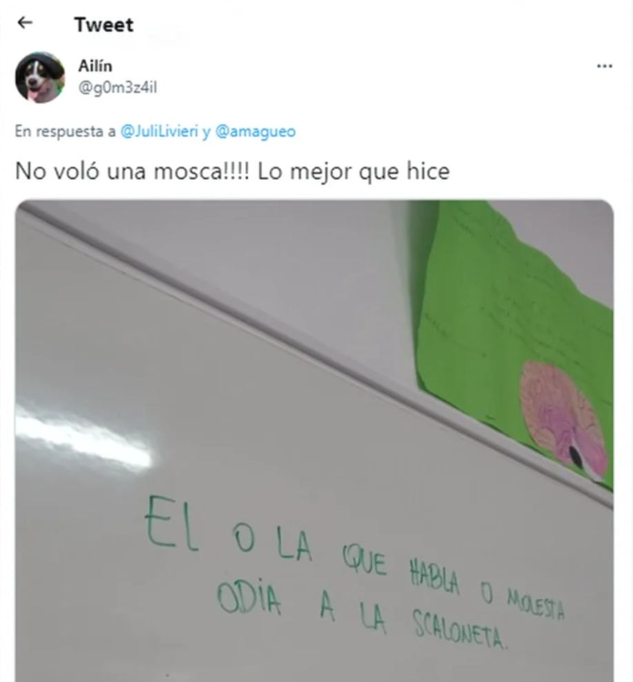 El profesor se volvió famoso en Twitter.