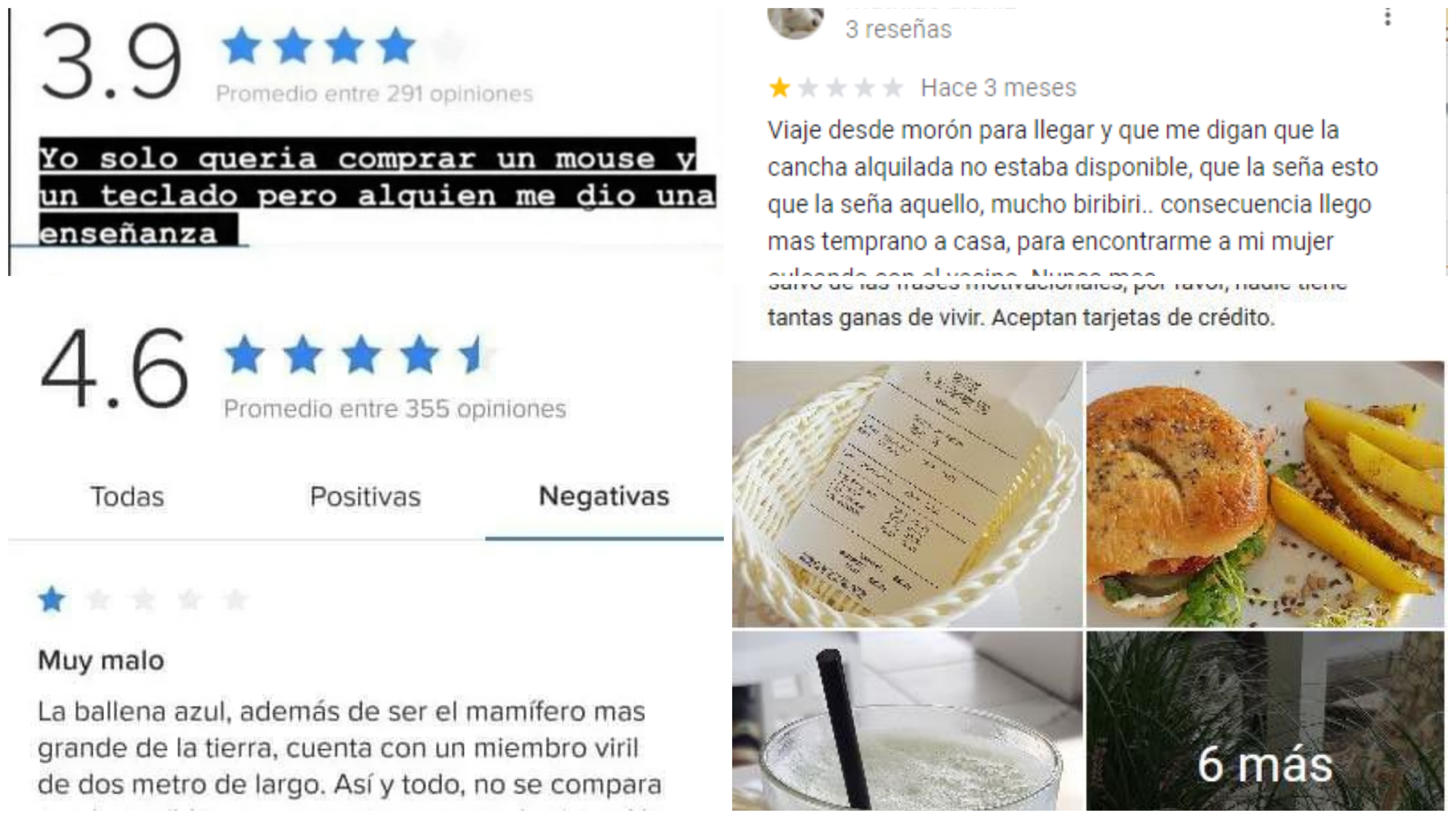 Las reseñas más divertidas de internet quedaron recopiladas en un tuit viral.