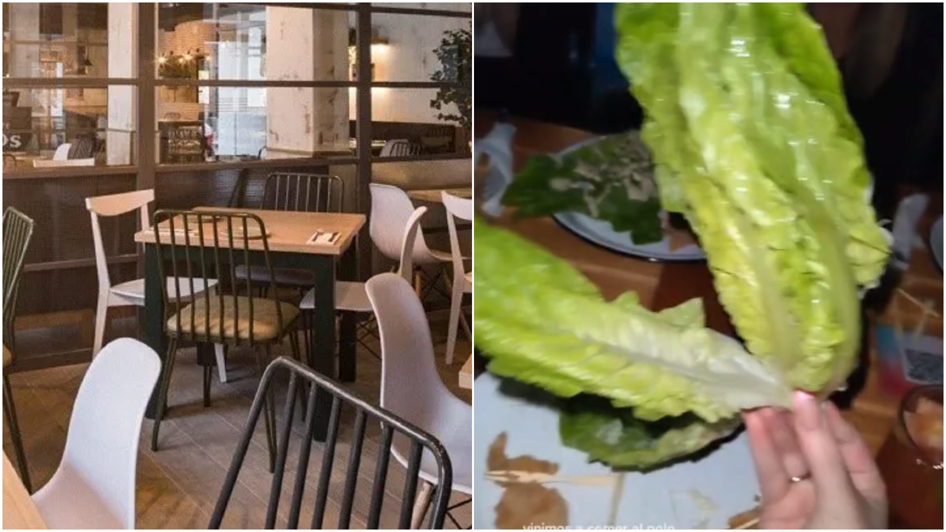 Fueron a Palermo, pidieron una ensalada César y le trajeron un plato escandaloso: le cobraron 2 “lucas” y las redes estallaron