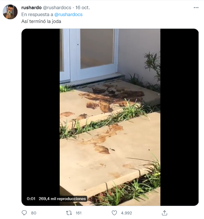   <a href='https://www.cronica.com.ar/tags/Borracho'>Borracho</a> se durmió en la puerta de una casa y es viral (Twitter/@rushardocs).